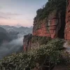 Da Hong Pao